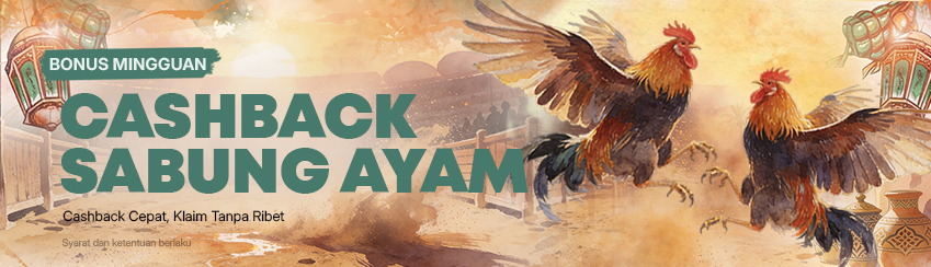 CASHBACK SABUNG AYAM MINGGUAN 5%